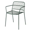 Chaise à accoudoirs Eden, Forest green