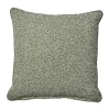 Coussin Teddy, Teddy verde