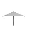 Parasol Major, Light grey