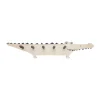 Porte-manteau Crocodile, Nature