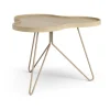 Table Flower mono 62x66 cm, H45 Chêne laqué-nutmeg RAL1019