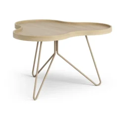 Table Flower mono 62x66 cm, H39 Chêne laqué-nutmeg RAL1019